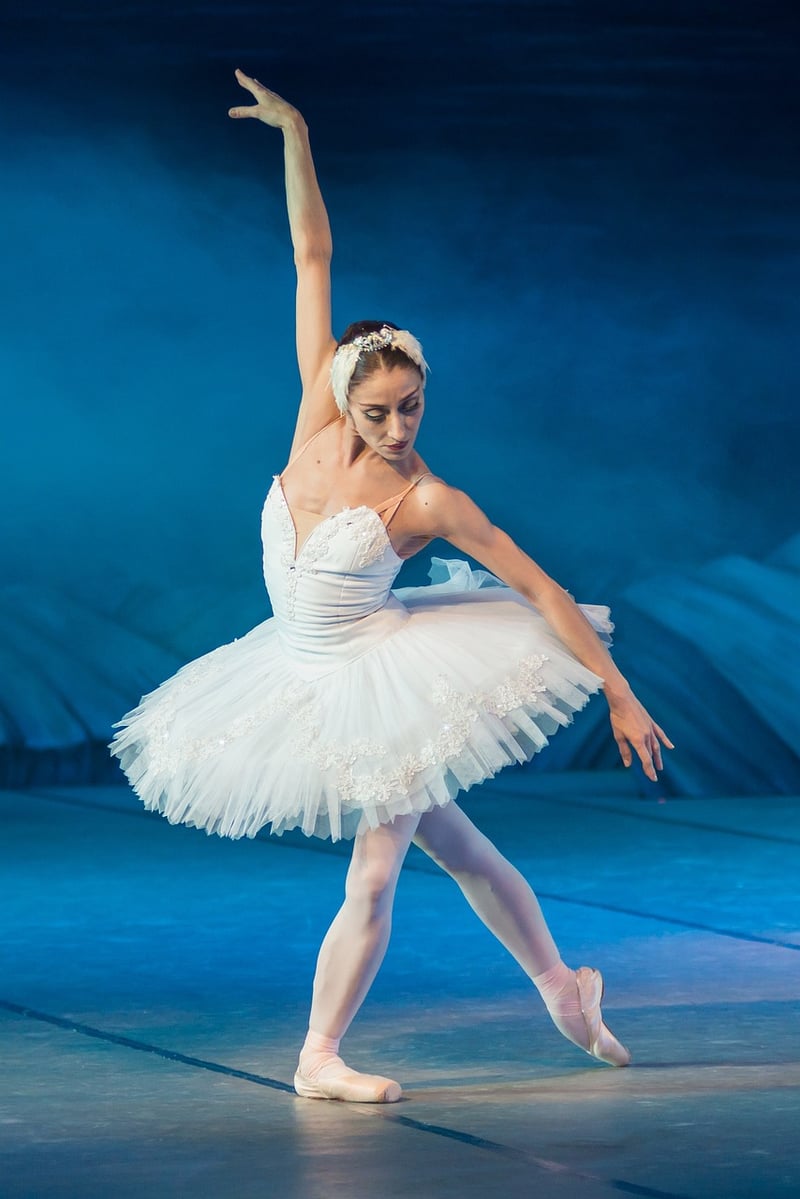 Mindful Choreography